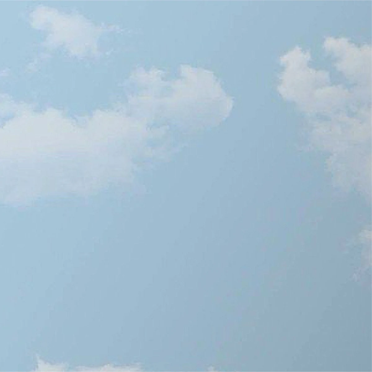Sky Honpo CH-K